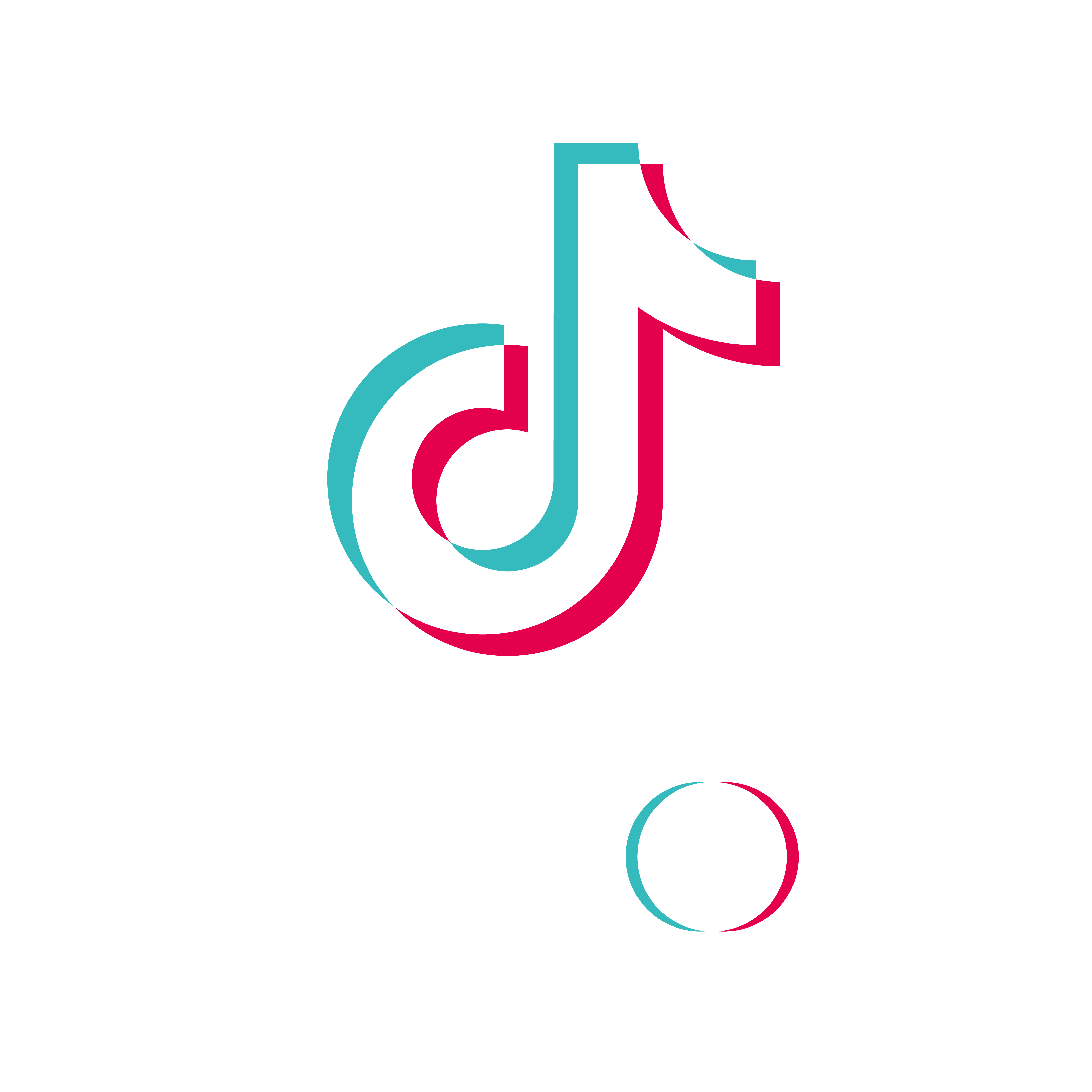 Follow on TikTok